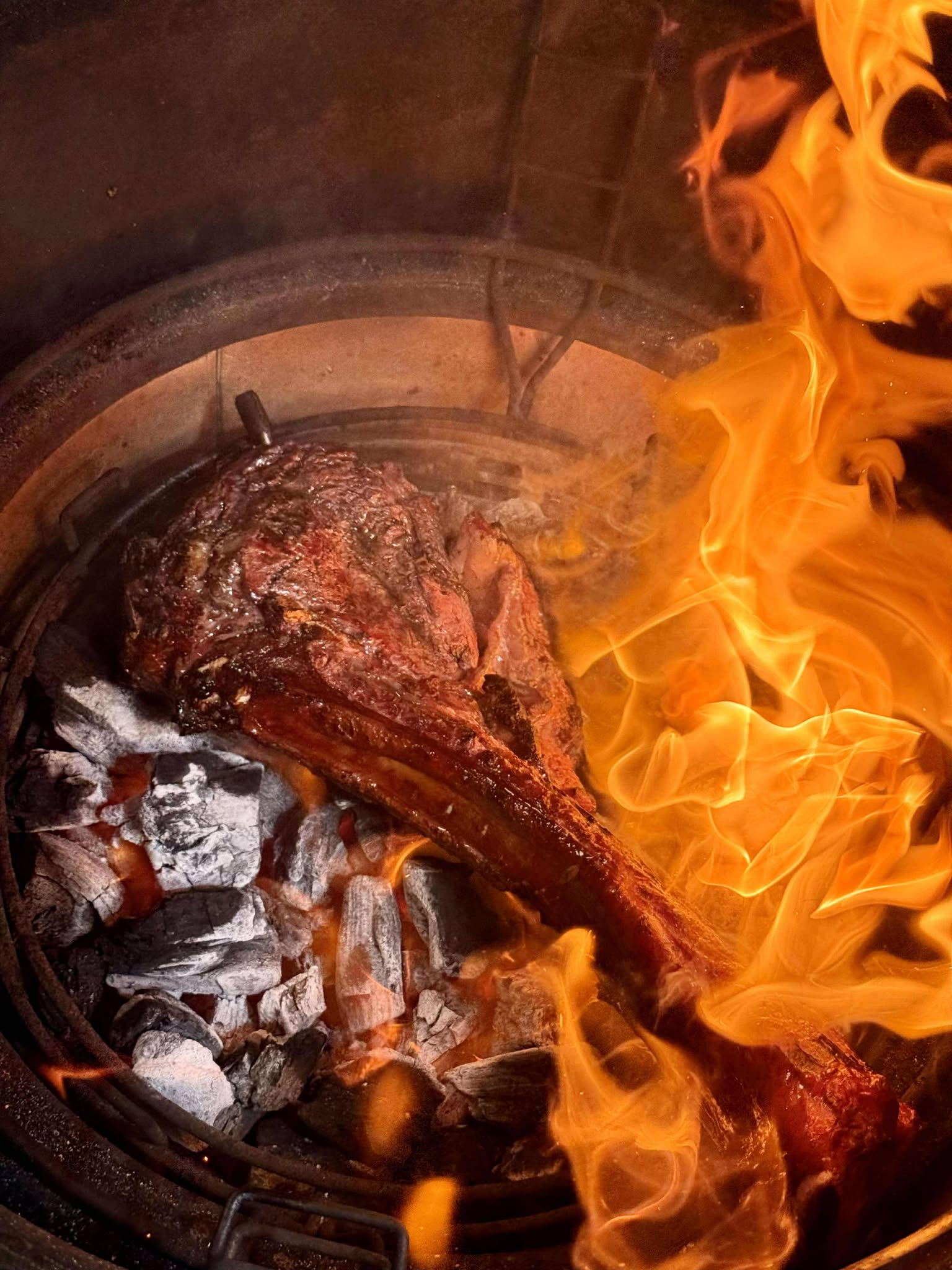 Ninja ProChef Thermometer: Honest Thoughts on a Game-Changer