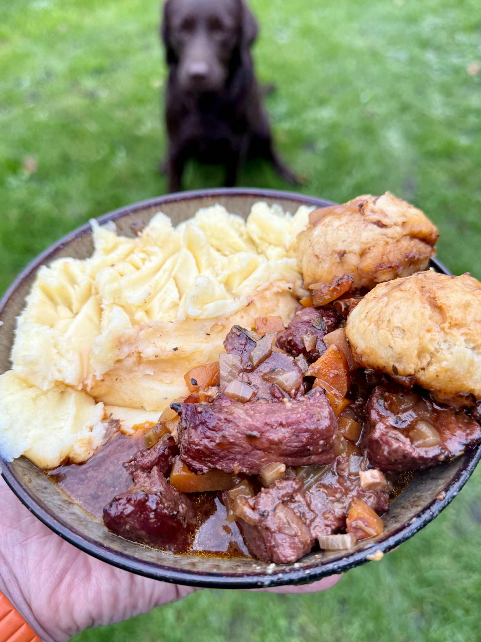 Family Friendly Easy Beef Stew with Dumplings & Roasted Mash